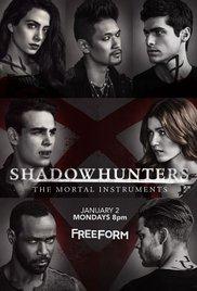 Shadowhunters Seasons 1-2 DVD Boxset