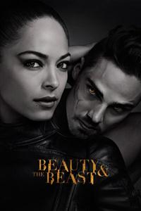 Beauty and the Beast Seasons 1-4 DVD Boxset