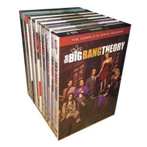 The Big Bang Theory Seasons 1-9 DVD Boxset
