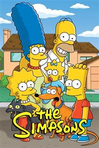 The Simpsons Seasons 28 DVD Boxset