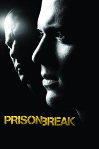 Prison Break Seasons 1-5 DVD Boxset