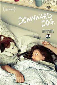 Downward Dog Seasons 1 DVD Boxset