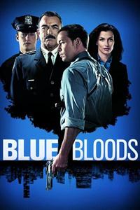 Blue Bloods Seasons 1-7 DVD Boxset