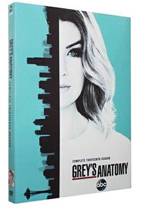 Grey's Anatomy Seasons 13 DVD Boxset