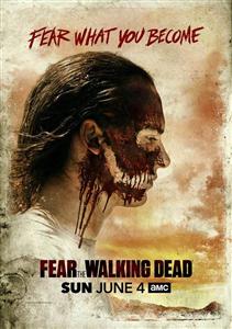Fear The Walking Dead seasons 1-3 DVD Boxset