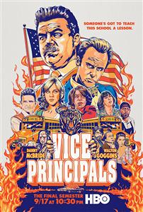 Vice Principals Seasons 2 DVD Boxset