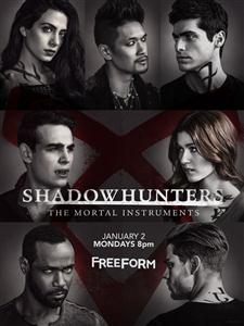 Shadowhunters Seasons 1-3 DVD Boxset