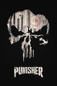 Marvel's The Punisher Seasons 1-2 DVD Boxset
