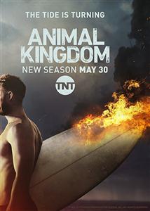Animal Kingdom Season 1-3 DVD