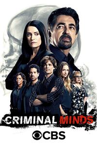 Criminal Minds Seasons 1-14 DVD Boxset