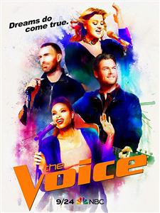 The Voice (U.S.) Seasons 1-14 DVD Set
