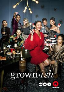 Grown-ish Seasons 1-2 DVD Set