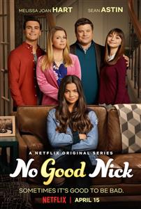 No Good Nick Seasons 1 DVD Set
