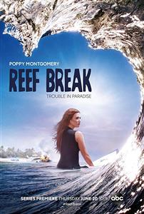 Reef Break Seasons 1 DVD  Set