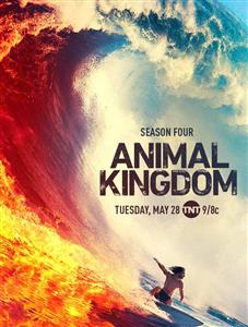 Animal Kingdom Seasons 1-4 DVD Set