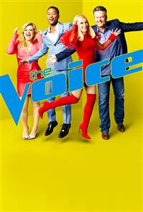 The Voice (U.S.) Season 17 DVD Set