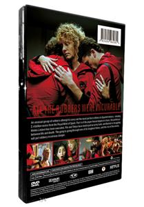 Money Heist Seasons 1-4 DVD Set
