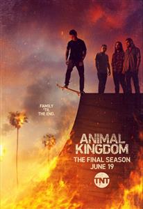 Animal Kingdom Seasons 6 DVD Set