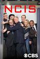 NCIS Seasons 1-15 DVD Boxset 